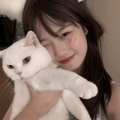 荣耀之塔百度版下载